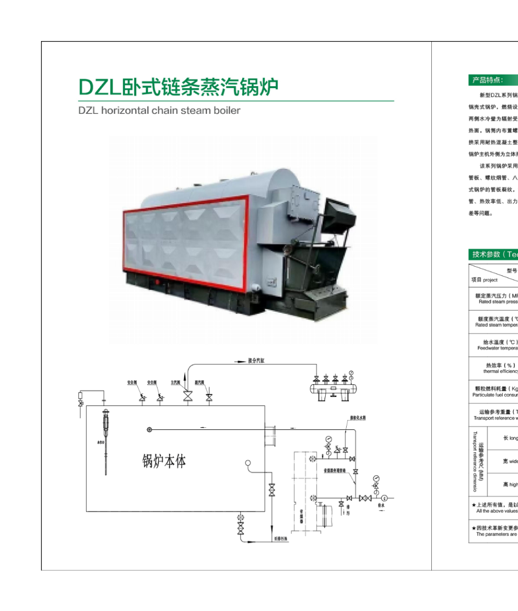 DZL Horizontal Chain Steam Boiler